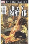 Black Panther (2005) 27 VFNM